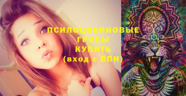 a pvp Зеленодольск