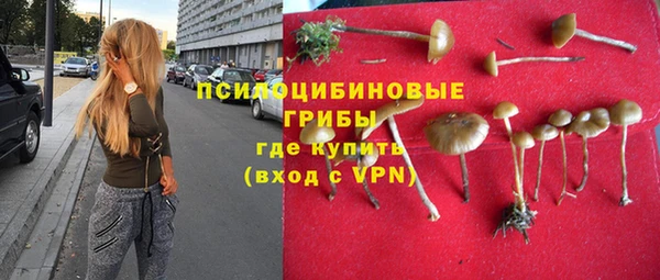 молекула духа Зерноград