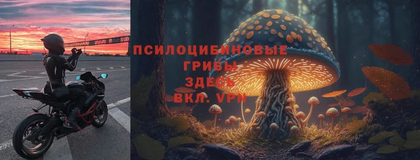 a pvp Зеленодольск